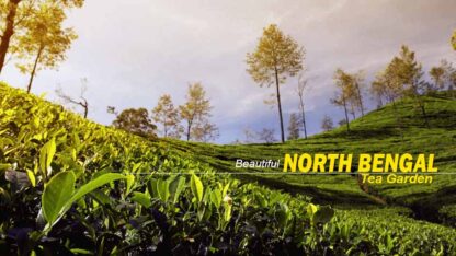 north-bengal-tour-packages