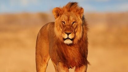 unforgettableadventures5