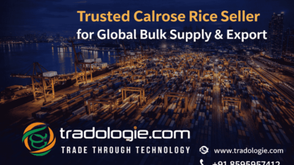 85f71643-1279-4b42-9c7e-9f7594f0bce3-1