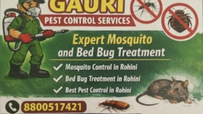 Gauri-image-5-in-low-quality