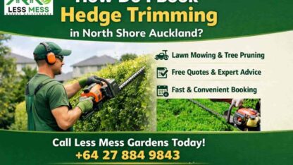 Hedge-trimming-North-Shore-Auckland-2