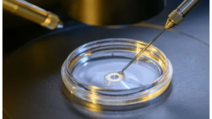 IVF-with-Donor-Eggs-Hyderabad-–-Advanced-Fertility-Treatment-for-Parenthood