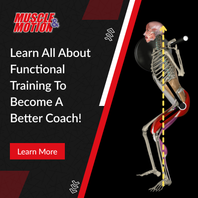 Muscle and Motion