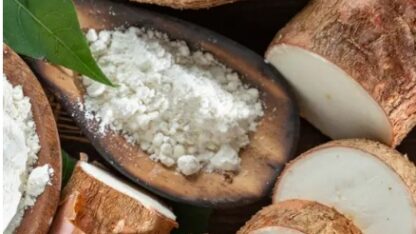 Tapioca-Starch-Manufacturers