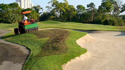 istockphoto-115982993-612×612-1