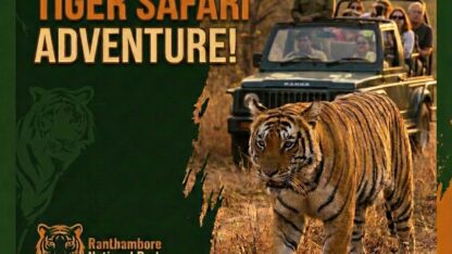 ranthambore-national-park-safari-booking