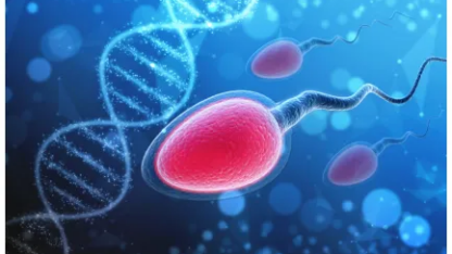 sperm-dna-fragmetation