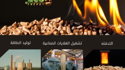 2bdbf014-cf54-4c55-8e3a-171a11b07660