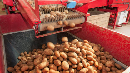 Agriculture-Belt-Of-India