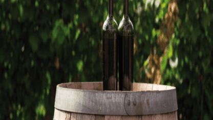 Buy-wine-online-uk-winesofbohemia-1-1