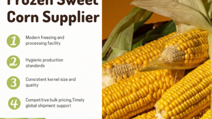 Frozen-Sweet-Corn-Supplier