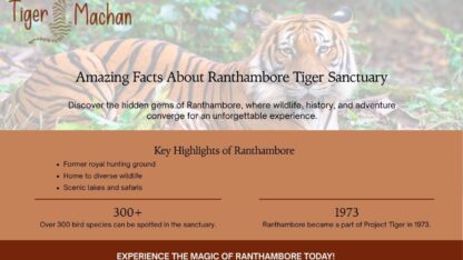 Key-Highlights-of-Ranthambore