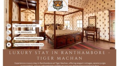 Luxury-stay-in-Ranthambore-Tiger-Machan