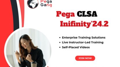 Pega-lsa-242