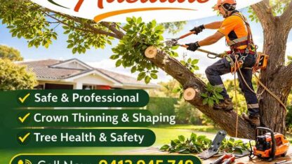 Professional-Tree-Care-and-Tree-Pruning-Adelaide-Services-by-Adelaide-Tree-Removals