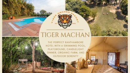 Tiger-Machan