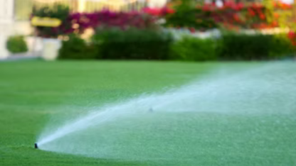 Why-Does-Your-Lawn-Become-Bumpy-After-Rain