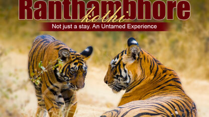 Wildlife-Resort-Ranthambore