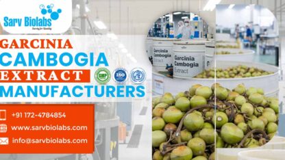 garcinia-cambogia-extract-manufacturers