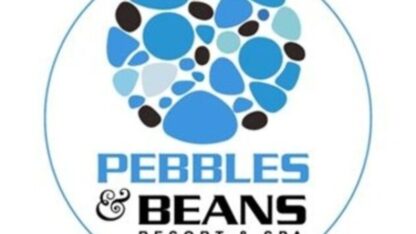 pebbles_logo_2_optimized-1-1