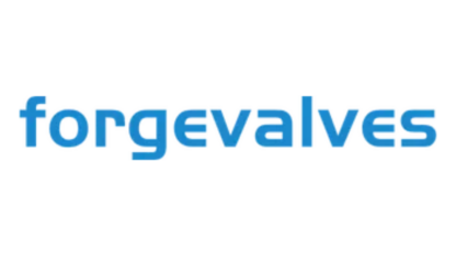 China-Forged-Valves-Co.-Ltd