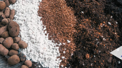 Comparing-Organic-Perlite-to-Other-Soil-Additives-1536×683-1