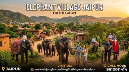 Elephant-Village-Jaipur-2