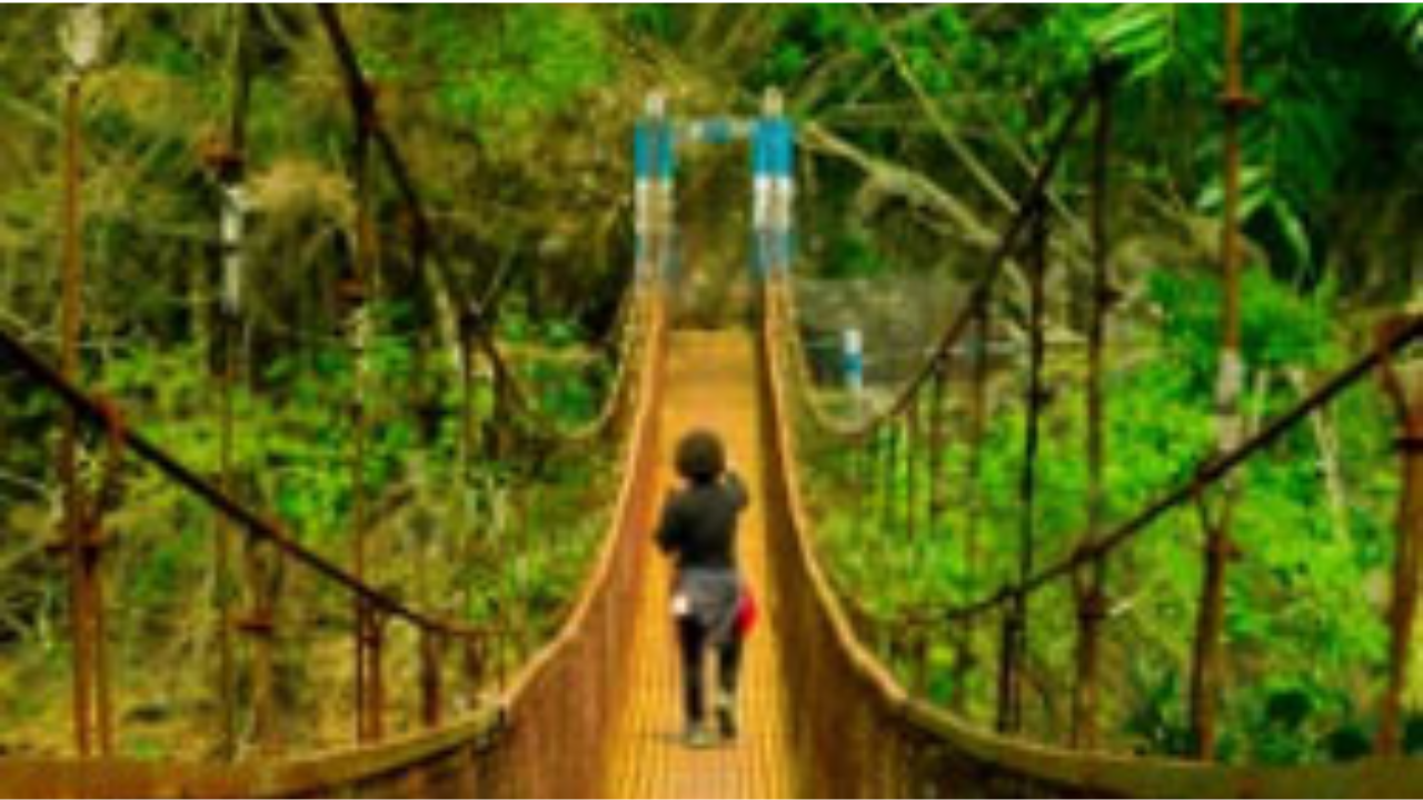 Plan Your Perfect North East Tour Package to Visit Arunachal Pradesh