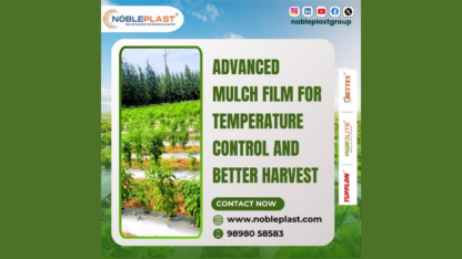 Premium-Mulch-Film-for-Modern-Farming-and-Temperature-Management