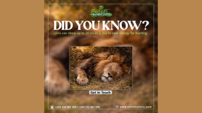 Tanzania-Safari-Packages-from-India-–-Explore-Kenya-Tanzania