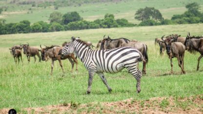 Untitled-design-2026-04-13T155323.613