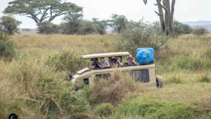 ketsafaris.com-Tanzania-481