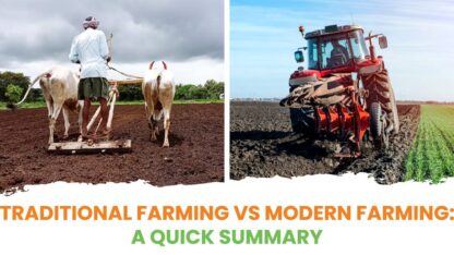 traditional-vs-modern-farming