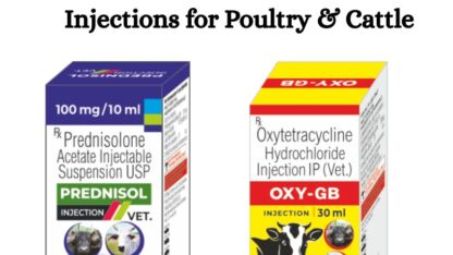 Best-Exporter-of-Veterinary-Injections-for-Poultry-Cattle