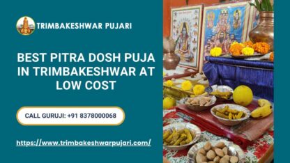 BestPitraDoshPujainTrimbakeshwarAtLowerCos