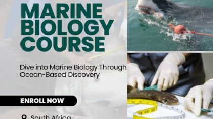 Marine-Biology-Course-South-Africa-1