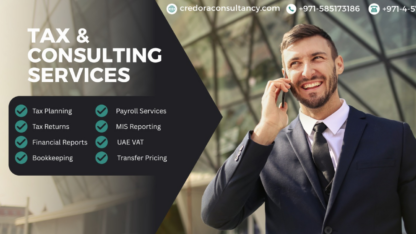 UAEs-Best-Accounting-Professionals-for-Growing-Businesses