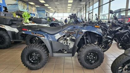 2025-Kawasaki-Brute-Force®-300