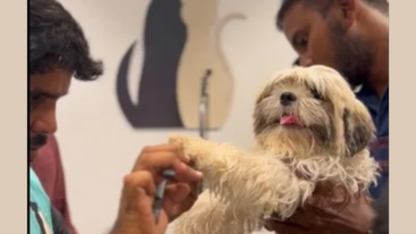 Best-Pet-Grooming-at-Home-in-Tamil-Nadu-Pet-spa-at-home