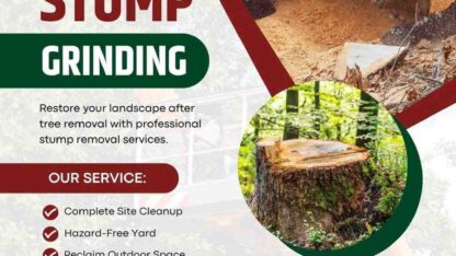 Stump-Grinding-in-Boerne
