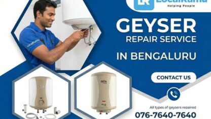 geyserrepairservic