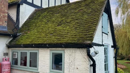 moss_roof