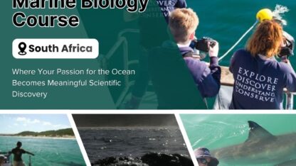 Marine-Biology-Course-South-Africa